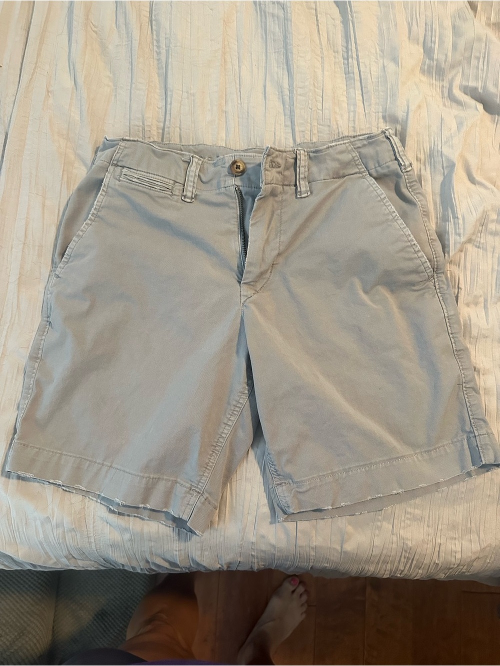 American Eagle Outfitters Light Gray Flat Front Chino Shorts